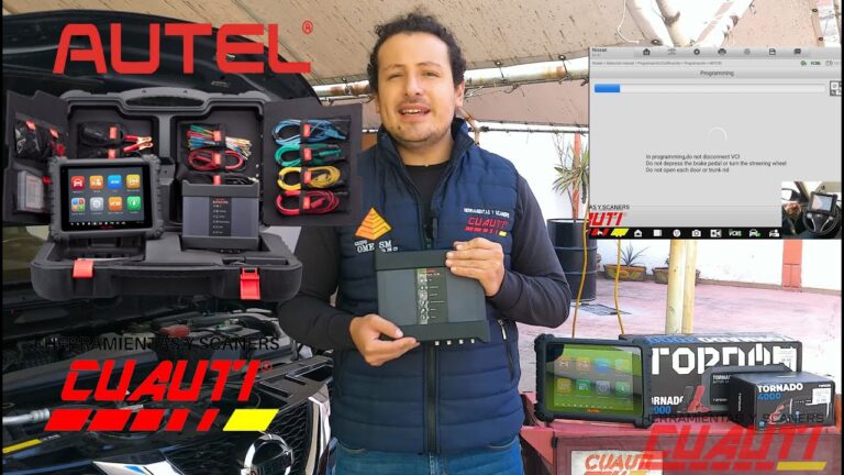 919: ¿Gratuito o de pago?