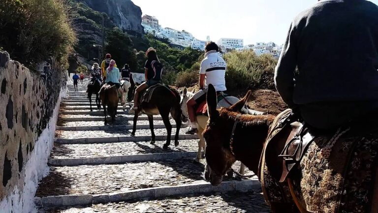 Explorando Santorini: Subida en Burro