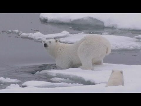Temperatura actual en Groenlandia: &iquest;Cu&aacute;ntos grados?