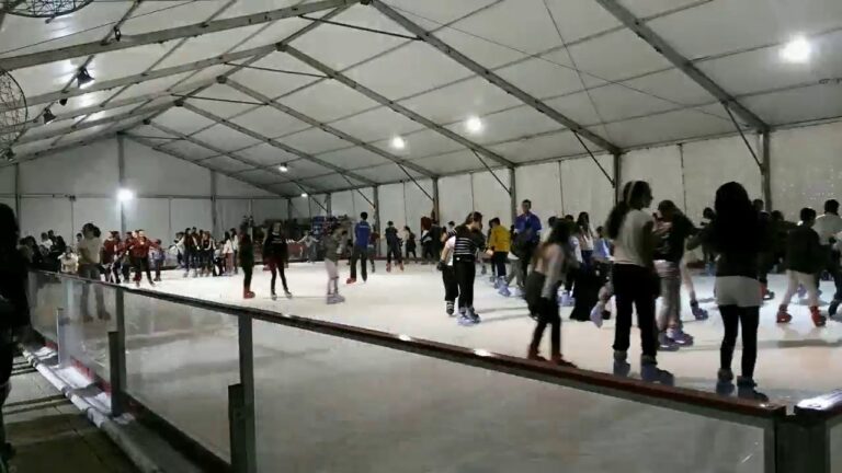Precios de la Pista de Hielo Las Arenas