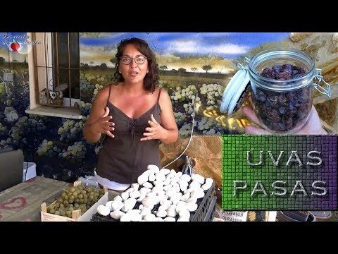 Descubre el Rabillo de Pasas: Beneficios y Usos en la Cocina